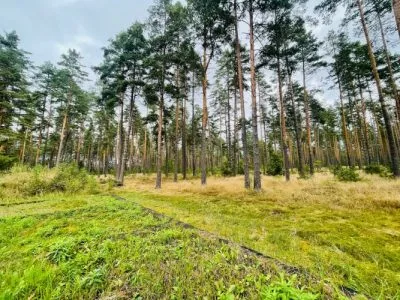 Land plot For Sale, Pērses street 23, Rīga, Labais krasts, Berģi / 41 000 € 1