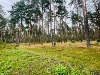 Land plot For Sale, Pērses street 23, Rīga, Labais krasts, Berģi / 41 000 € 2
