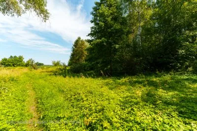 Pārdod zemi, Ezermalas iela 2h, Rīga, Labais krasts, Mežaparks / 410 000 € 7