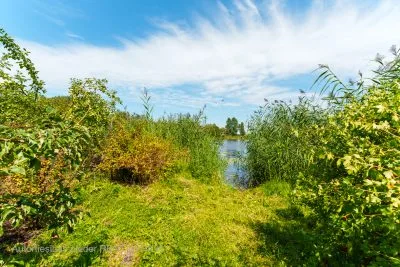 Pārdod zemi, Ezermalas iela 2h, Rīga, Labais krasts, Mežaparks / 410 000 € 6