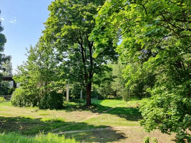 Buļļu iela 70b, 72 12