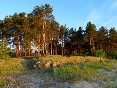 Pārdod zemi, Krastmalas 1, Engures novads, Lapmežciema pagasts, Lapmežciems / 489 000 € 4