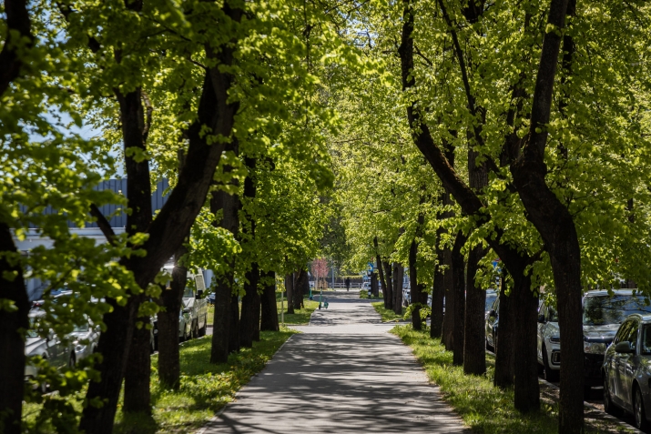 Продажа квартиры, Augšiela улица 8, Rīga, Labais krasts, Centrs / 46 000 € 6