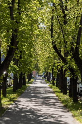 Augšiela iela 8 1
