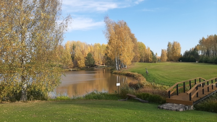 Trīssaliņas iela x 12
