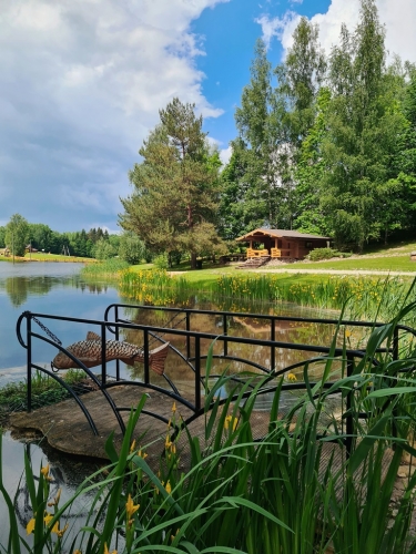 Trīssaliņas iela x 31