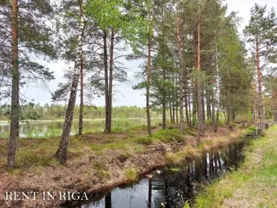 Land plot For Sale, Virši street 195/196, Olaines novads / 25 000 € 8