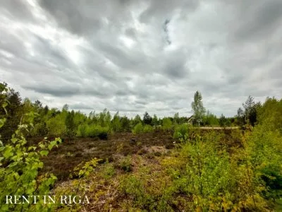 Land plot For Sale, Virši street 195/196, Olaines novads / 25 000 € 4