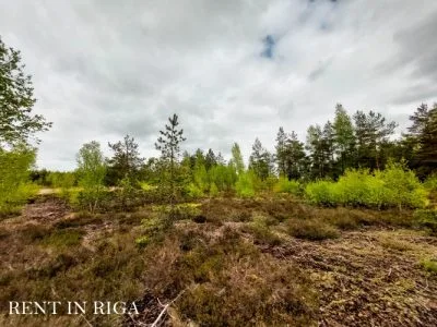 Land plot For Sale, Virši street 195/196, Olaines novads / 25 000 € 1