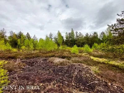 Land plot For Sale, Virši street 195/196, Olaines novads / 25 000 € 5