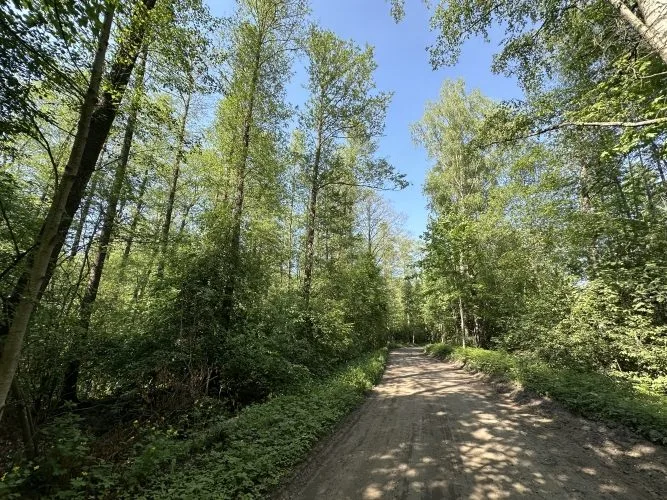 Apakšgrāvja iela 16 1