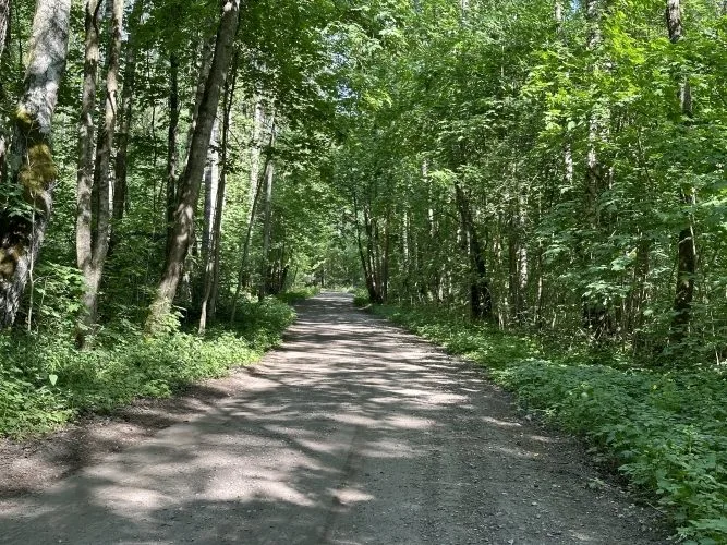 Apakšgrāvja iela 16 2