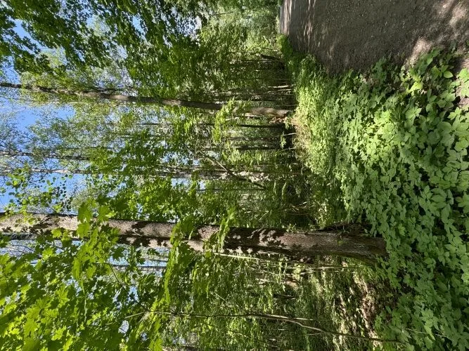 Apakšgrāvja iela 16 4