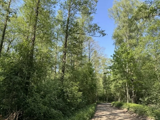 Apakšgrāvja iela 16 6