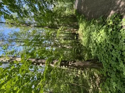 Pārdod zemi, Apakšgrāvja iela 16, Rīga, Kreisais krasts, Kleisti / 19 000 € 4