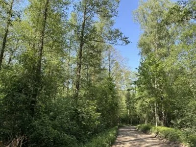 Pārdod zemi, Apakšgrāvja iela 16, Rīga, Kreisais krasts, Kleisti / 19 000 € 6