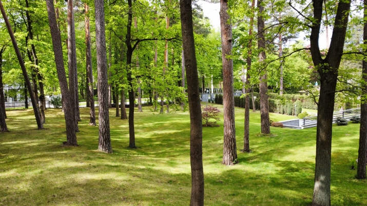 Land plot For Sale, Ezermalas street 36B, Rīga, Labais krasts, Mežaparks / 330 000 € 8