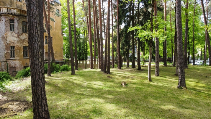 Land plot For Sale, Ezermalas street 36B, Rīga, Labais krasts, Mežaparks / 330 000 € 9