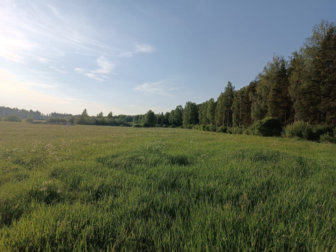 Kaplīši . 2