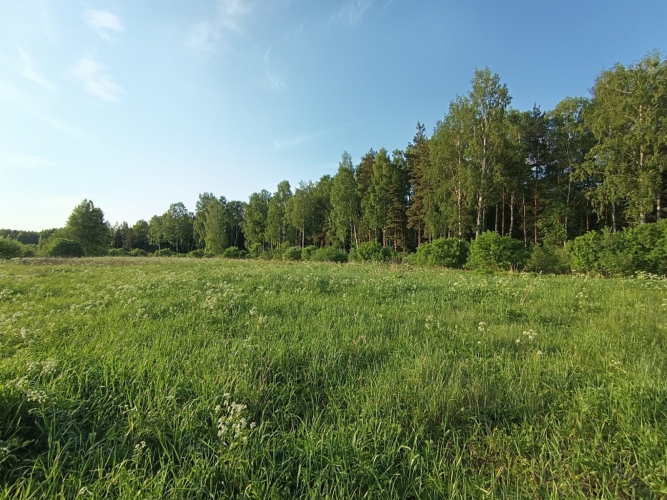 Kaplīši . 4