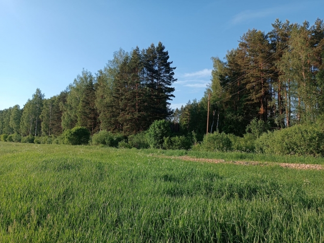 Kaplīši . 5