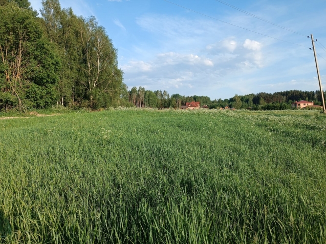 Kaplīši . 6