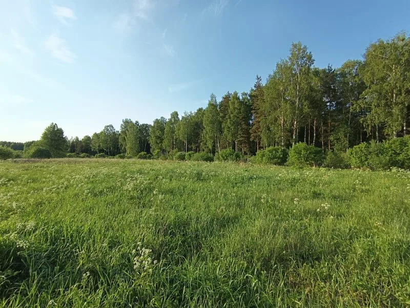 Kaplīši . 4