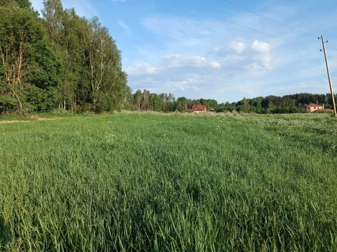 Kaplīši . 6