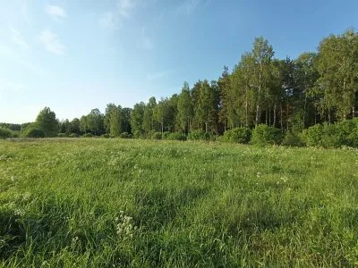 Pārdod zemi, Kaplīši ., Ikšķiles novads, Tīnūžu pagasts / 23 000 € 4