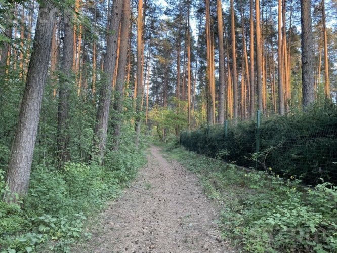 Rubīnu iela 14 3