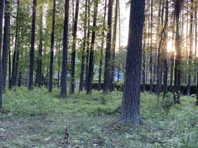 Rubīnu iela 14 1