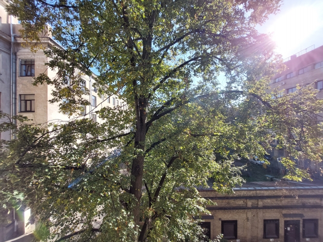 Vilhelma Purvīša iela 21A 10