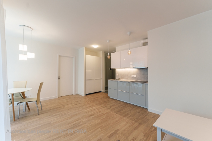 Izīrē dzīvokli, Rūpniecības iela 27, Rīga, Labais krasts, Centrs / 850 € 2