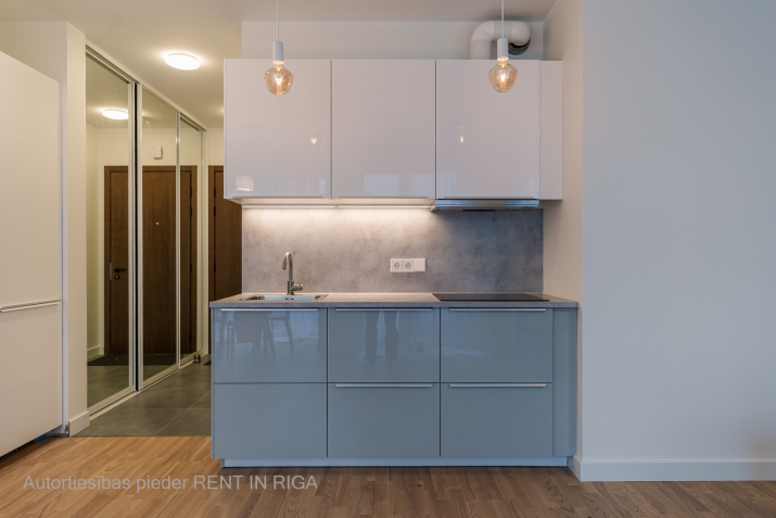 Izīrē dzīvokli, Rūpniecības iela 27, Rīga, Labais krasts, Centrs / 850 € 9