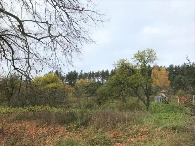 Božas iela 0 3
