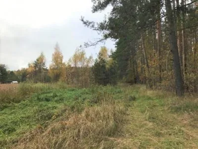 Pārdod zemi, Božas iela 0, Babītes novads, Babītes pagasts / 100 000 € 2