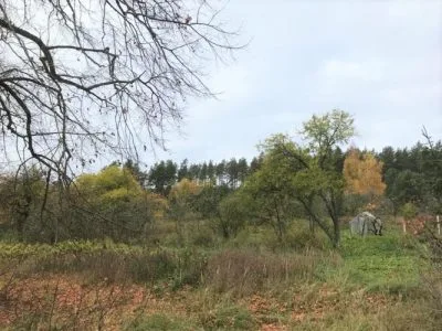 Pārdod zemi, Božas iela 0, Babītes novads, Babītes pagasts / 100 000 € 3