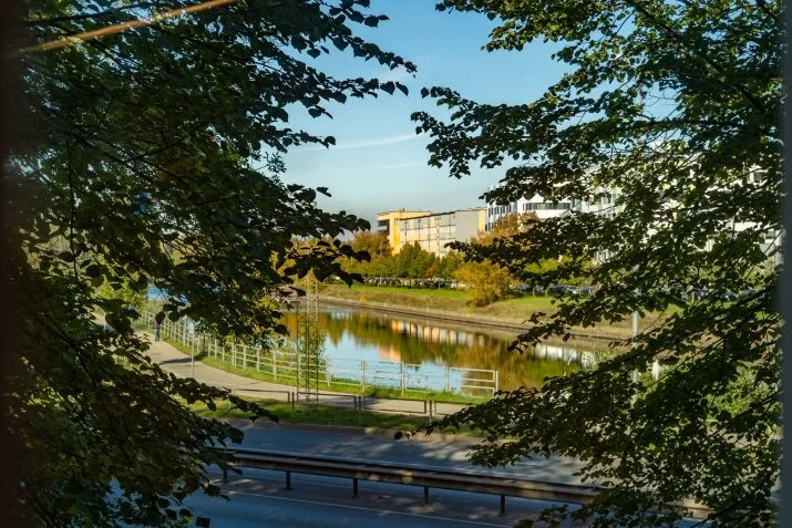 Raņķa dambis iela 31 29
