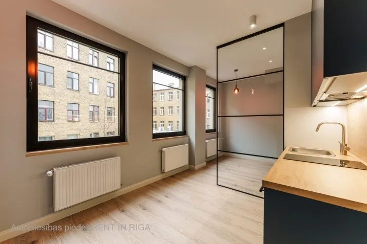 Ernesta Birznieka Upīša iela 20a 1