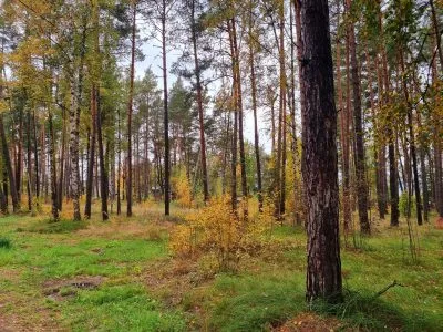 Pārdod zemi, Vecāķu prospekts iela 36c, Rīga, Labais krasts, Vecāķi / 190 000 € 6