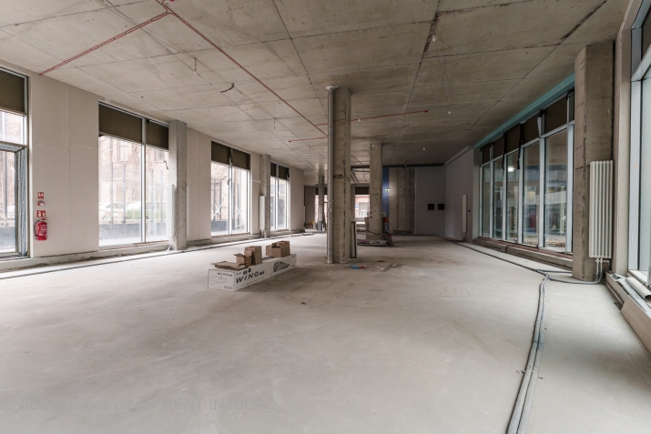 Krišjāņa Barona iela 30a 5