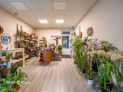 Pārdod tirdzniecības telpas, Bauskas iela 33, Rīga, Kreisais krasts, Pārdaugava (tuvā) / 79 900 € 7