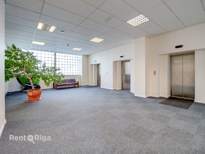 Ganību dambis 24D 4