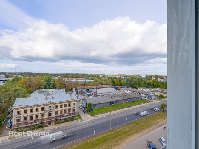 Ganību dambis 24D 3