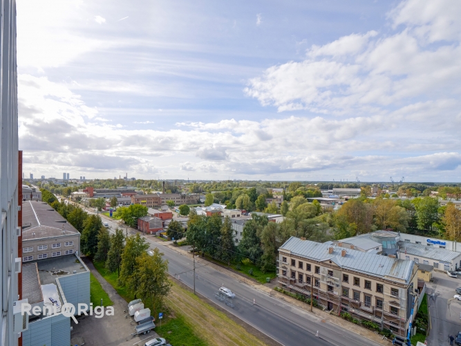 Ganību dambis 24D 4
