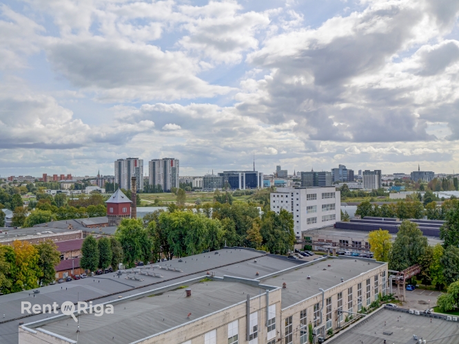 Ganību dambis 24d 2