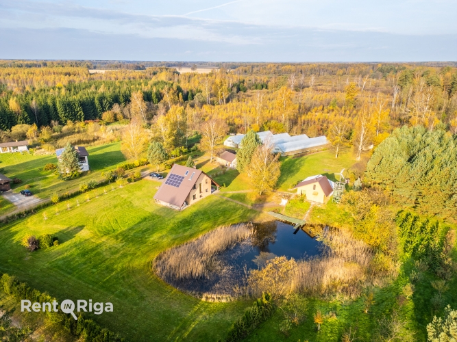 Vīnogas iela 1 43