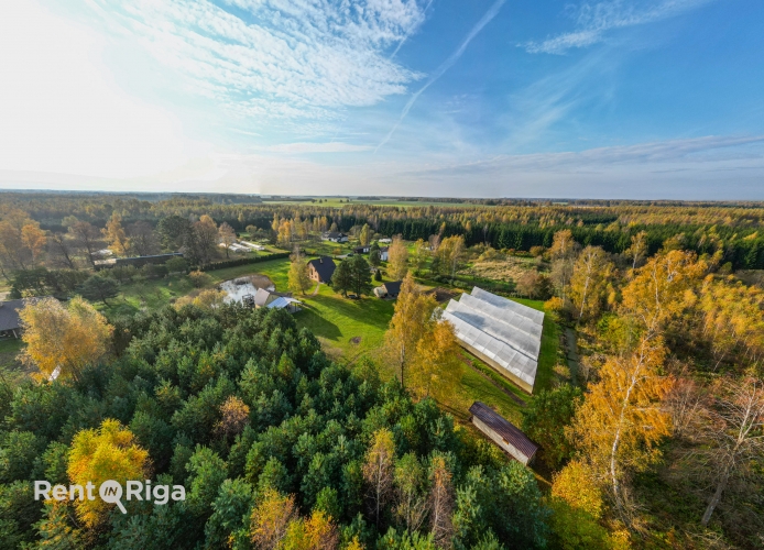 Vīnogas iela 1 41