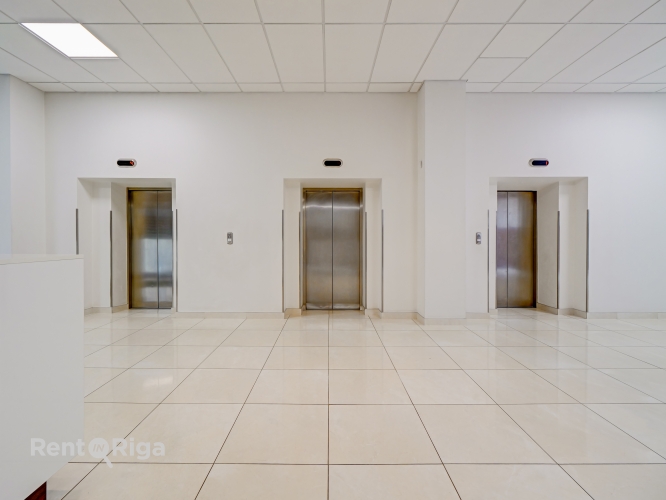 Ganību dambis 24D 10