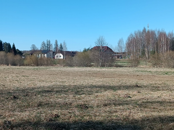 Jaunrakauskas ... 8